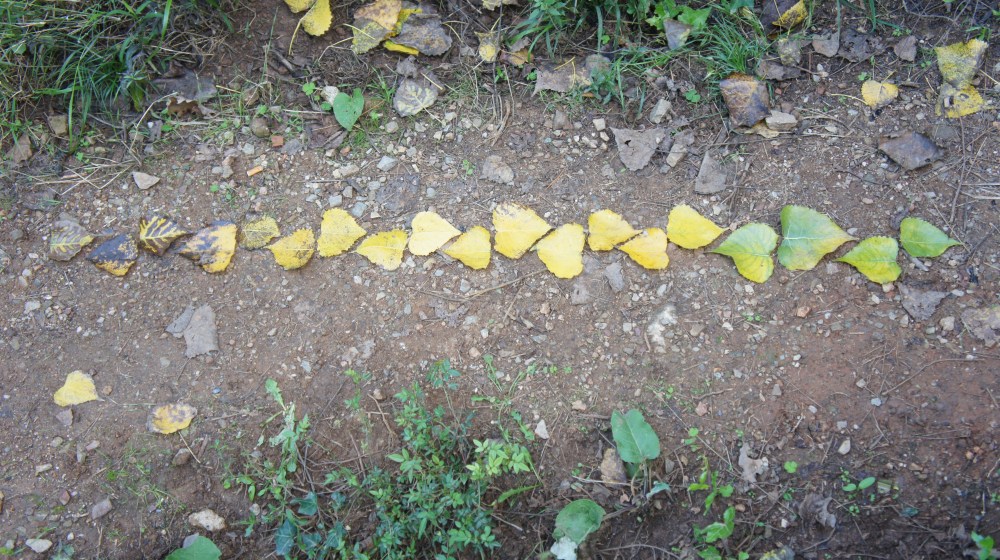 travail personnel initial 12 octobre 2014