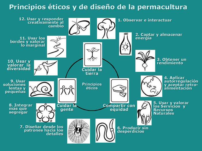 principios de la permacultura
