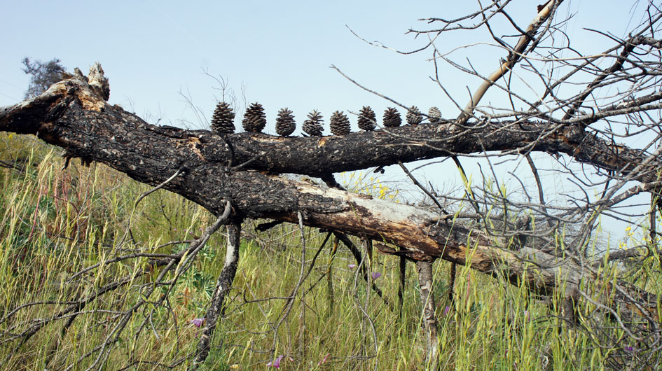 mientras los ninos realizaban intervenciones suas, hice esta - pendant que les enfants réalisaient leurs interventions, j'ai fait ceci