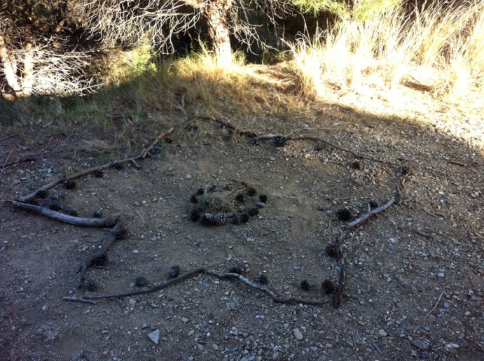 a esta hermosa estrella! - à cette étoile magnifique !
