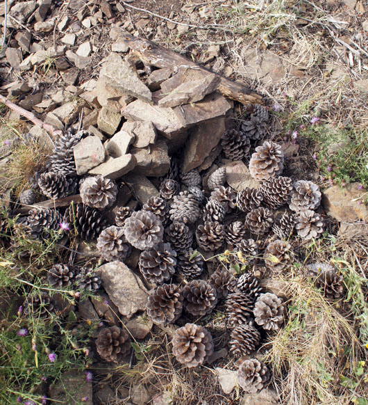 parece que la grota tocaba la mente de los ninos... - il semble que la grotte a touché l'esprit des enfants... 
