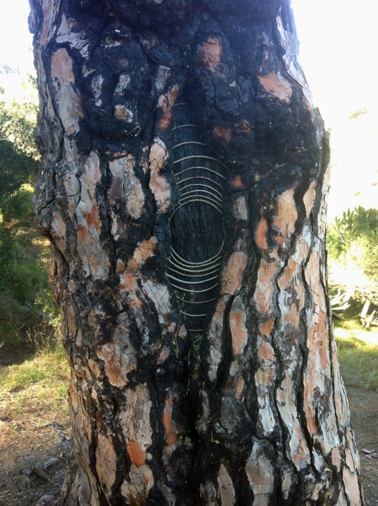 cercles concentriques