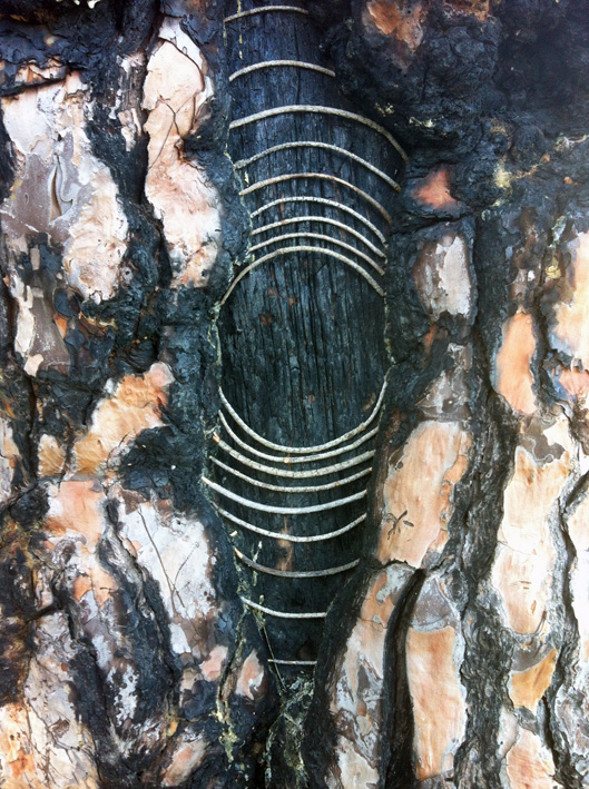 cercles concentriques