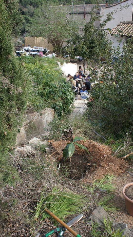 un ejemplo de accion - un exemple d'action