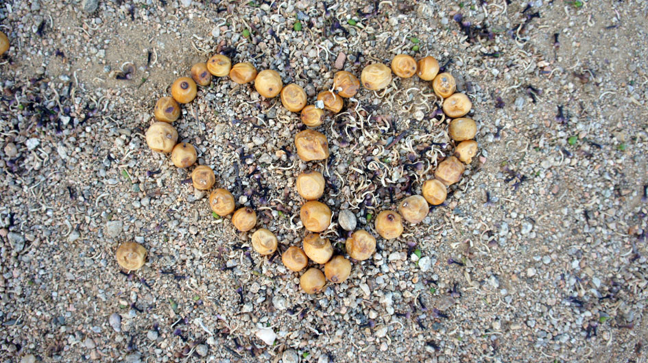  Tal fue mi respuesta - telle fut ma réponse