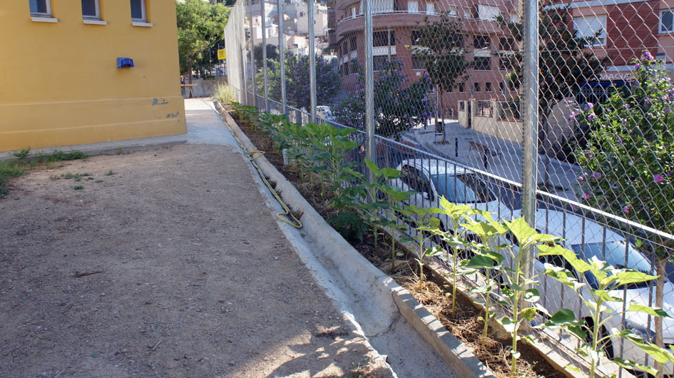 ...hasta la entrada de casal -  ...jusqu'à l'entrée de la maison de quartier
