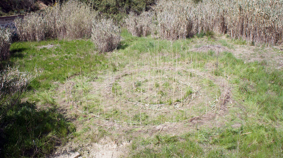 con el grupo, la creación del surco de tierra y instalacion de canas para indicar las futuras ubicaciones de los girasoles - avec le groupe, création du sillon de terre et plantation des cannes pour indiquer les futurs emplacements 
