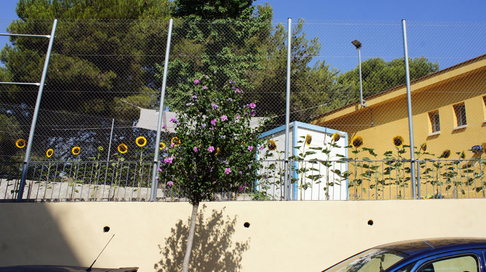 ils se dressent de toute leur grandeur et amplitude - se destacan en toda su grandeza y magnitud