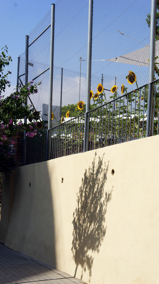 ils surplombent la rue et s'offrent aux enfants parents, voisins et promeneurs... - Ellos dan a la calle y ofrecen a los niños de padres, vecinos y paseantes ...