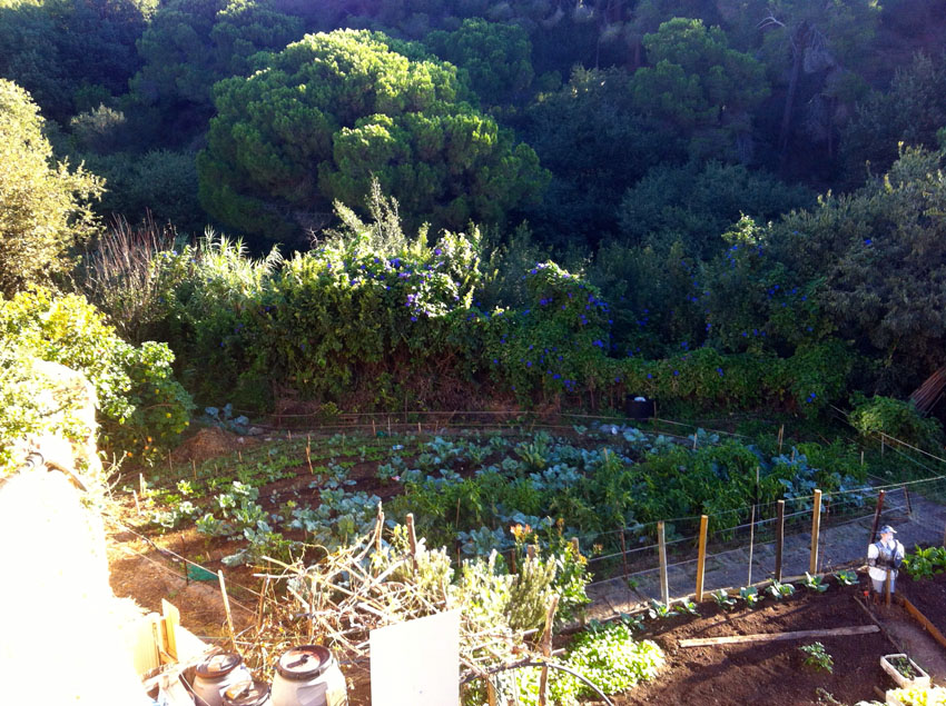 una otra parte del huerto de la vivienda - une autre partie du potager de la communauté