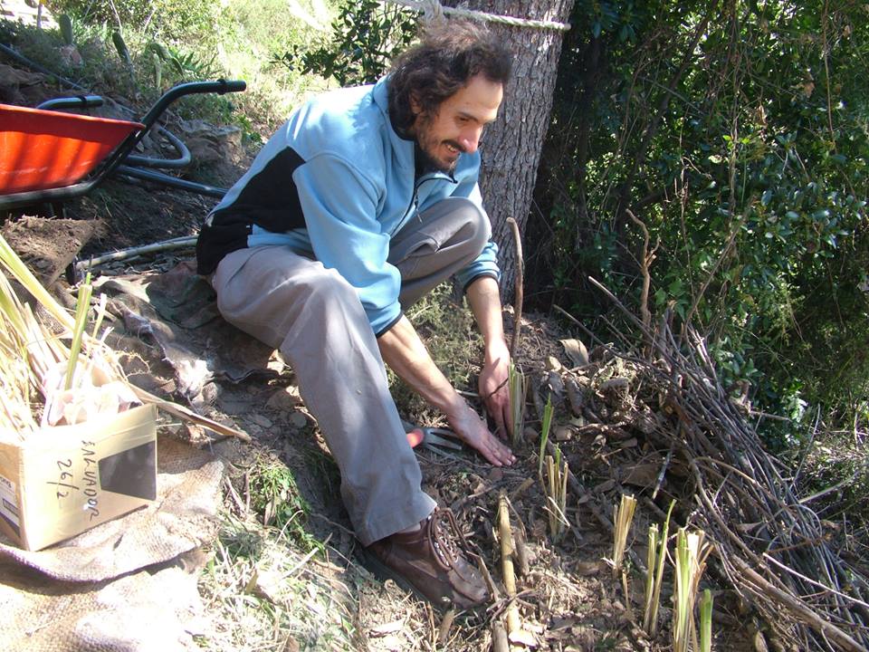 Alessandro en accion, formador del curso de permacultura - Alessandro en action, formateur du cours de permaculture
