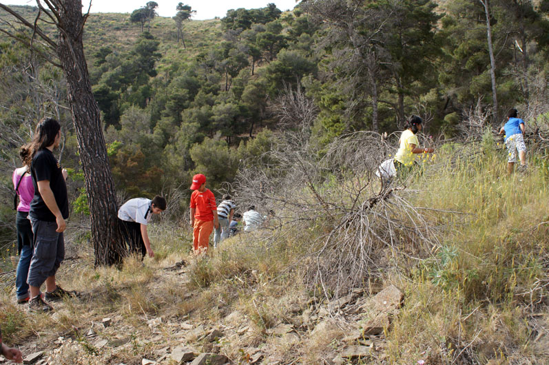 Los ninos buscan pinas... - les enfants cherchent des pommes de pin...