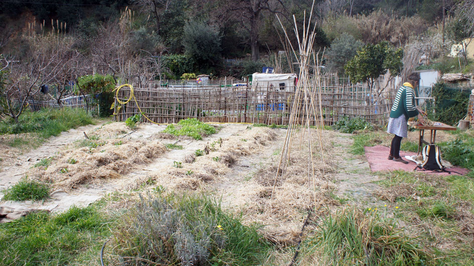 Elyse en el huerto pedagogical - Elyse dans le jardin pédagogique