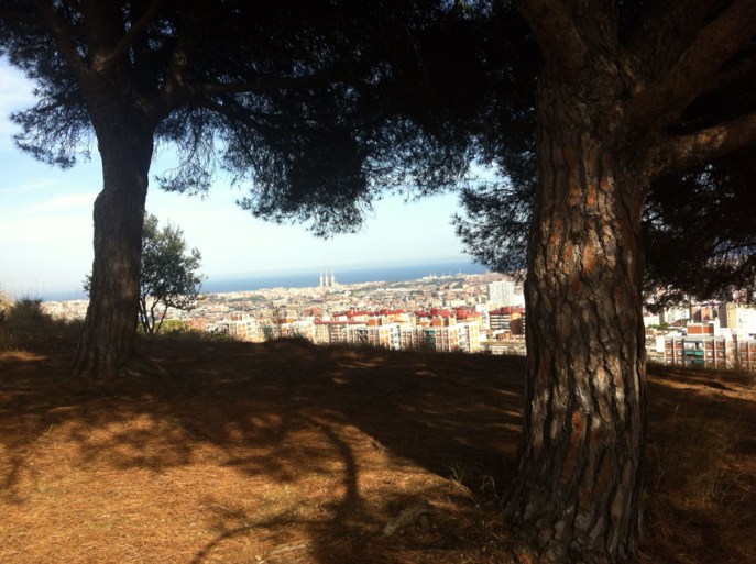 entre los pinos, la ciudad se extiende hacia el mar - entre les pins, la ville s'étend jusqu'à la mer