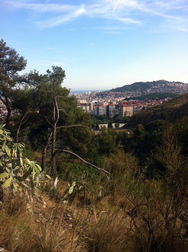 en el camino a las montañas en el horizonte, aparece la ciudad - sur le chemin de la montagne, à l'horizon, la ville apparaît