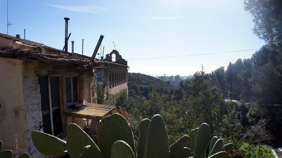 punto de vista del bosque comestible - point de vue du 